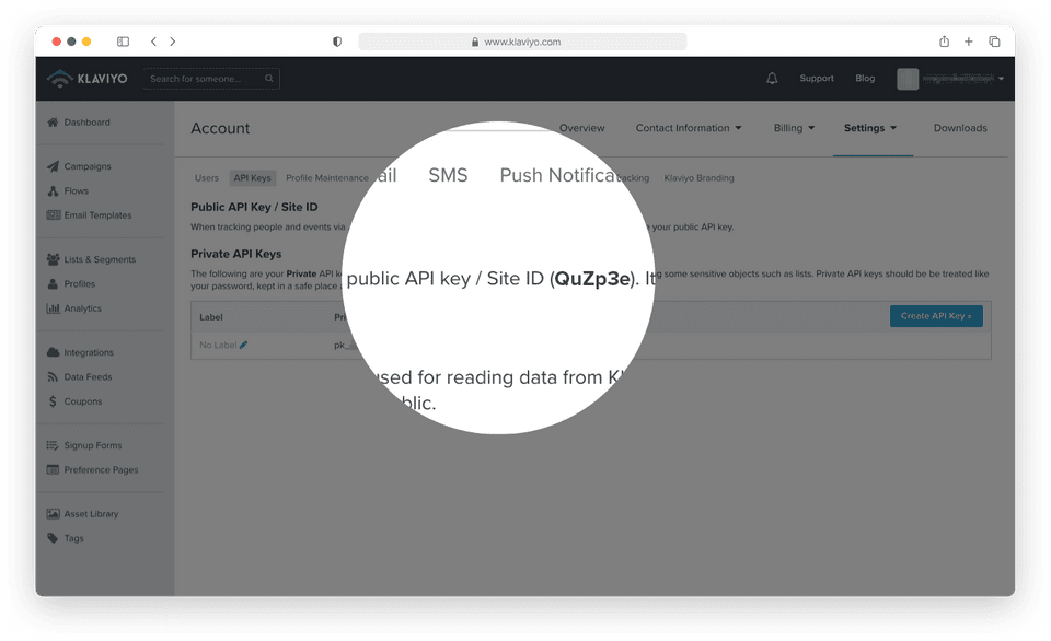 Your "Public API Key / Site ID" is on this page